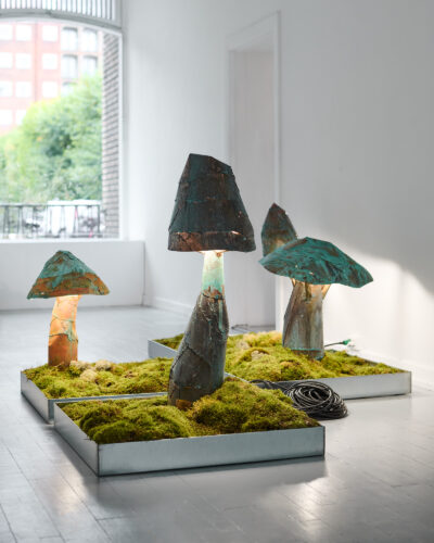 Gallery_Instagram_Credit_Robert_Damisch_06