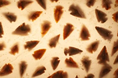 c54ed076-5ea7-4927-8e1a-42b6a2a4d743